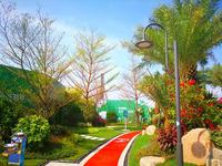 浦北·碧桂园 实景图