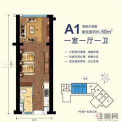 【A1户型】1室1厅1卫1厨