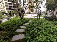 园林小径