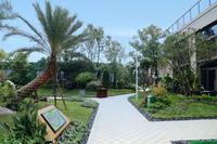 博白碧桂园 实景图