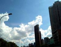 实景图