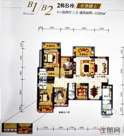 【2栋B座203平米】5室2厅3卫1厨3阳台