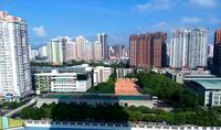实景图