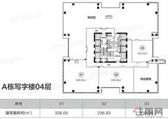 【A栋写字楼04层】3室