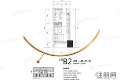 【C座B2户型】1室1厅1卫1厨1阳台