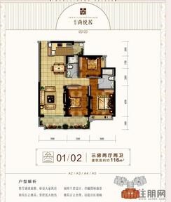 【01/02户型】3室2厅2卫1厨2阳台