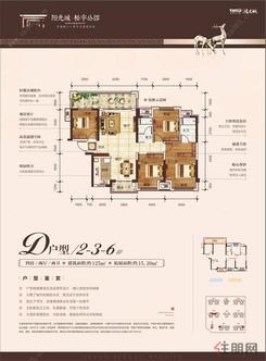 【2-3-6#D户型】4室2厅2卫1厨2阳台