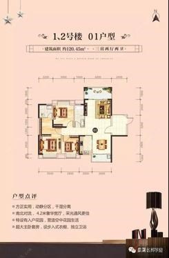 【1、2号楼 01户型】3室2厅2卫1厨2阳台