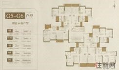 【G5-G6户型楼层平面图】
