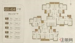 【G1-G4户型楼层平面图】