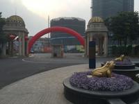 实景图