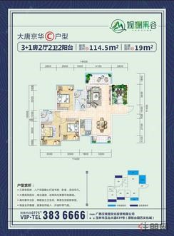 【大唐京华C户型】302室2卫1厨2阳台