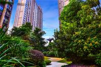 美泉1612实景图4