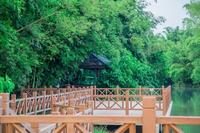 富力南昆山温泉养生谷 实景图 