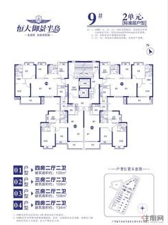 【9号楼2单元平层户型图】4室2厅2卫2厨