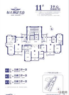 【11号楼1单元平层户型图】3室2厅1卫1厨