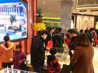了解广益城户型