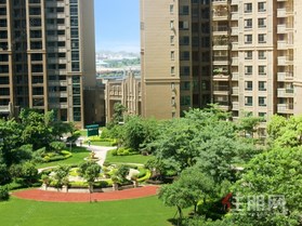 三合金色时代