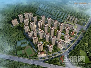 碧园·大公馆