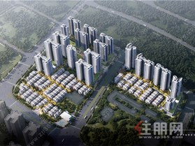 金科·琼华未来