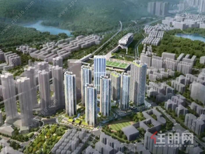 星河星悦云邸