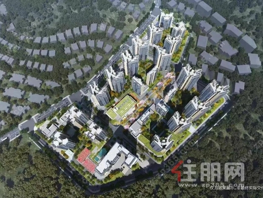 万科未来之光