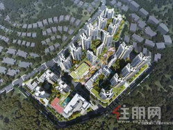 万科未来之光