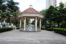 赛格都邦国际|实景图|