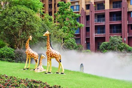 美兰国际城小区园林实景