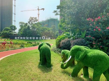 美兰国际城小区园林实景