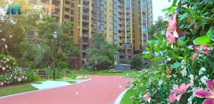 美兰国际城小区园林实景