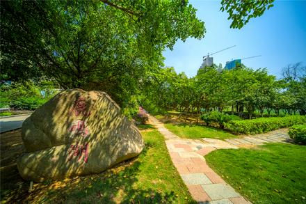 鹿寨碧桂园鹿鸣湖1號实景图