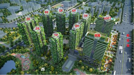 项目效果图欣赏