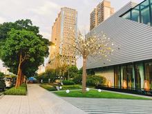 北海中心示范区 (4).jpg