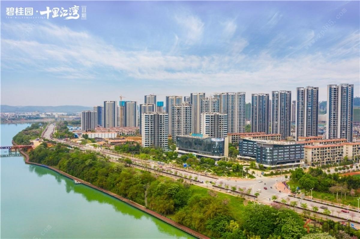 碧桂园·十里江湾实景图