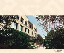 效果图