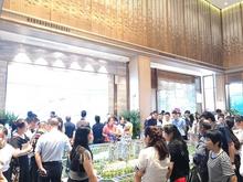 中鼎·公园9里营销中心6月1日盛情开放