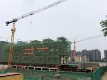 诗蓝春晓实景图3