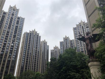 美泉1612楼栋实景图