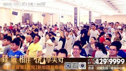 碧桂园中央上城城主家宴