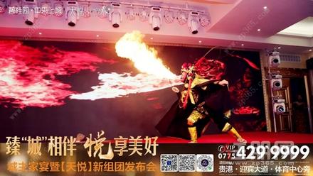 碧桂园中央上城城主家宴