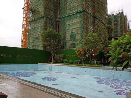 金玖世家项目游泳池在建实景图
