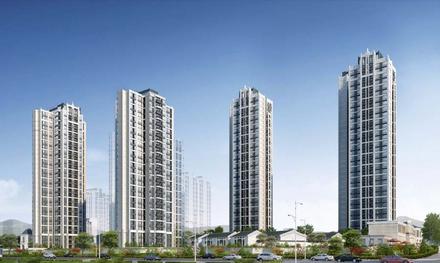 实地常春藤效果图