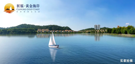 	项目实景图.png