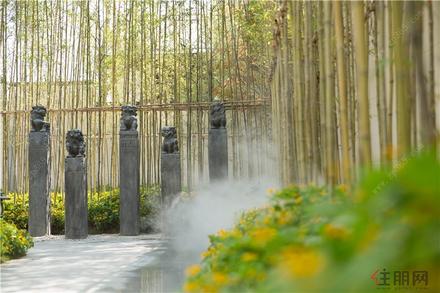 实景图