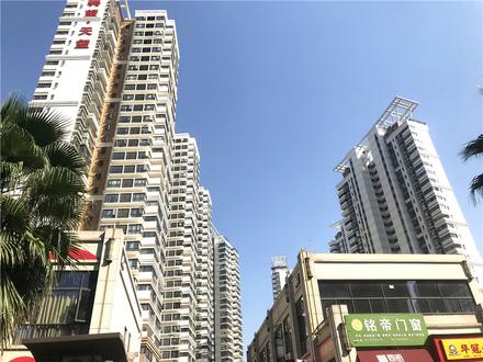 实景图