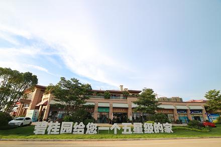 项目实景图