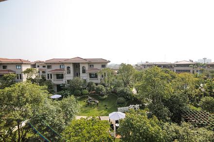 项目实景图