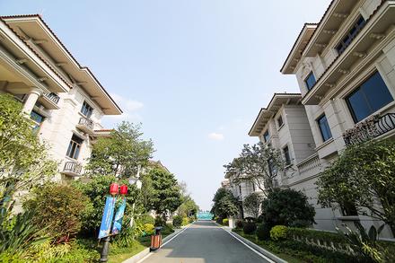 项目实景图