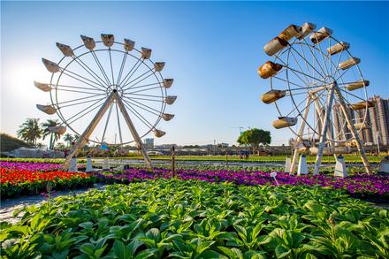 花卉公园实景图